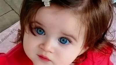 رواية أجمل قصة حب ملك إبراهيم 