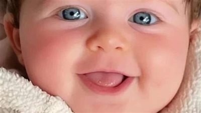 رواية غزاله بفك الضبع بقلم زهرة الربيع