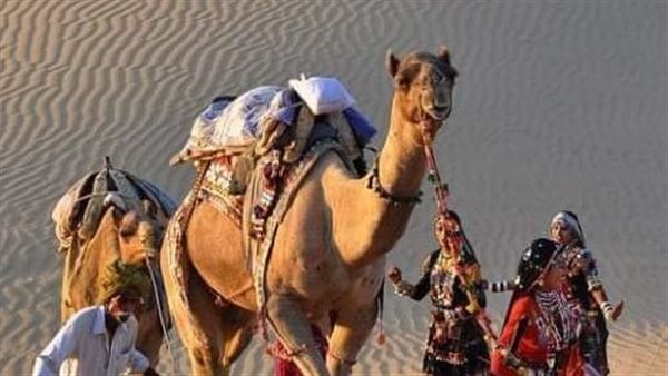 موقع أيام نيوز