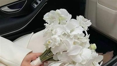 حضرة الظابط 