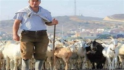 قصه راعى الغنم قال لها أريد أن اخطبكى كامله 