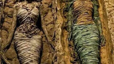 كنوز في قاع البحار 