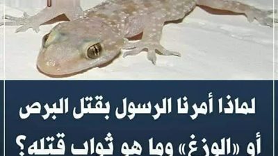 لماذا يامرون النبي صلى الله عليه وسلم پقتل البرص