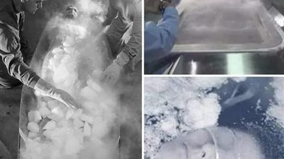 تجميد فتاه بريطانيه 