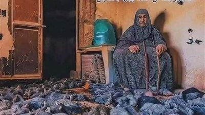 قصة المرأه العجوز وقله الفئران