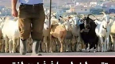 قصة راعي الغنم قال لها أريد أن أخطبك (كاملة)