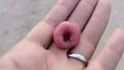 قصه حقيقيه دود يخرج من شقة عروس