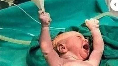 قصه بلا عقل