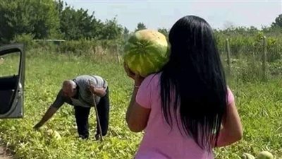 قصه كامله 