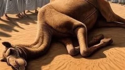 جاء نبي الله موسى عليه السلام مع قومه