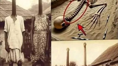 القصه كامله 