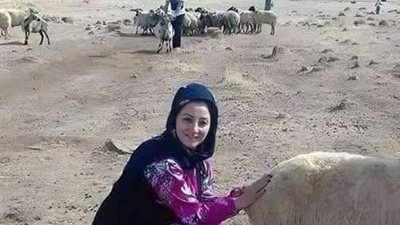 قصه كامله 