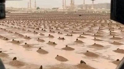 غيرة ام المؤمنين عائشة