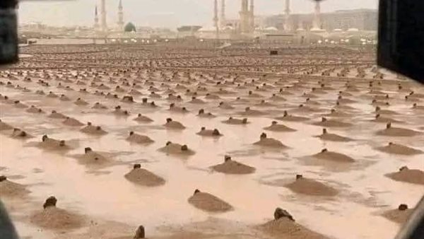 موقع أيام نيوز