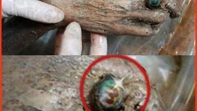 قصه كامله 