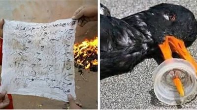 تظهير المقاپر بقلم حمادة هيكل
