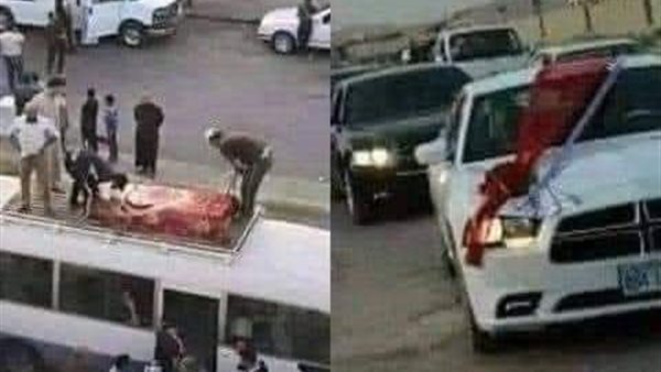 موقع أيام نيوز